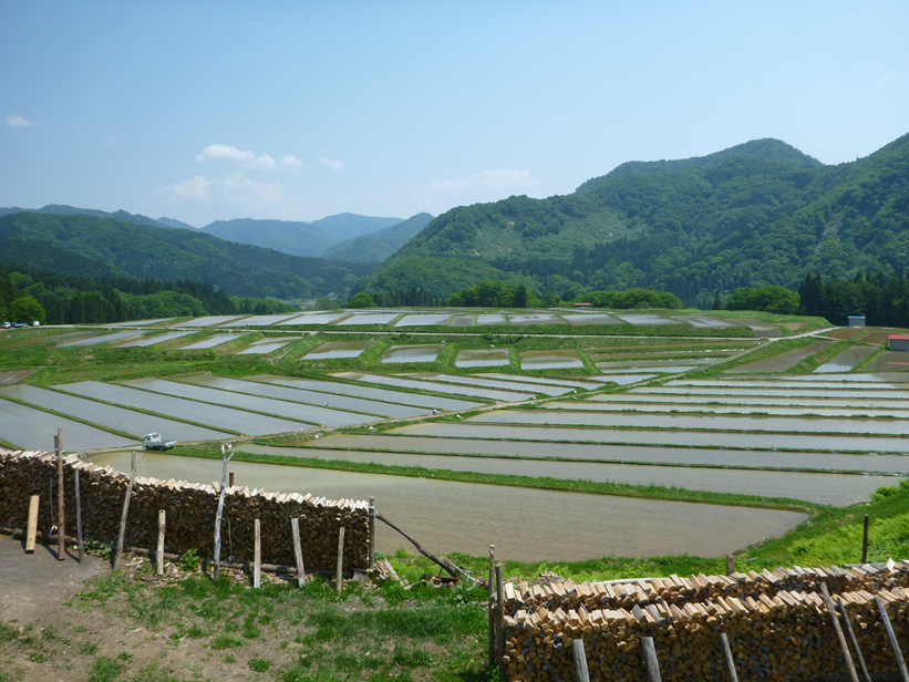 阿仁戸鳥内　全景春