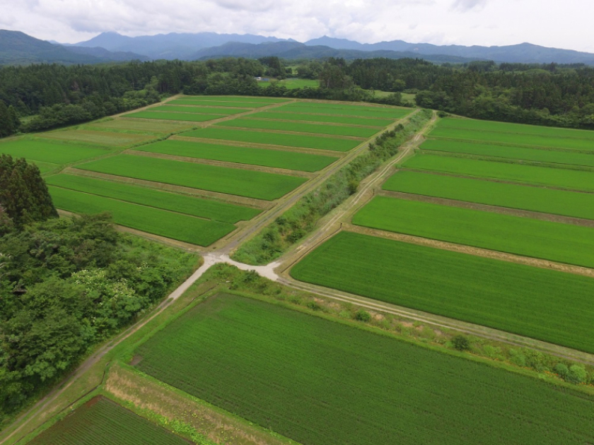 秋田発の本物！ 秋鹿 令和7年酒造年度 秋出し純米吟醸 令和7年10月17日入荷！全国5000