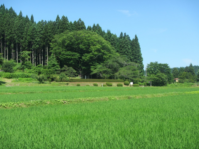 写真:帝釈寺の景色