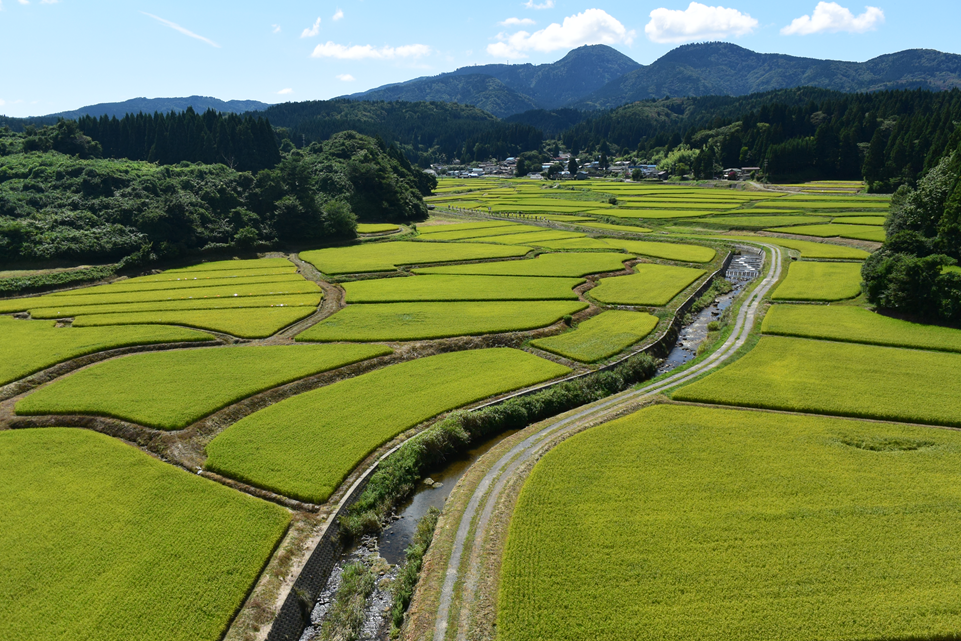 安全寺風景
