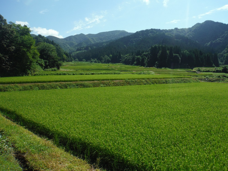 写真:七滝の景色