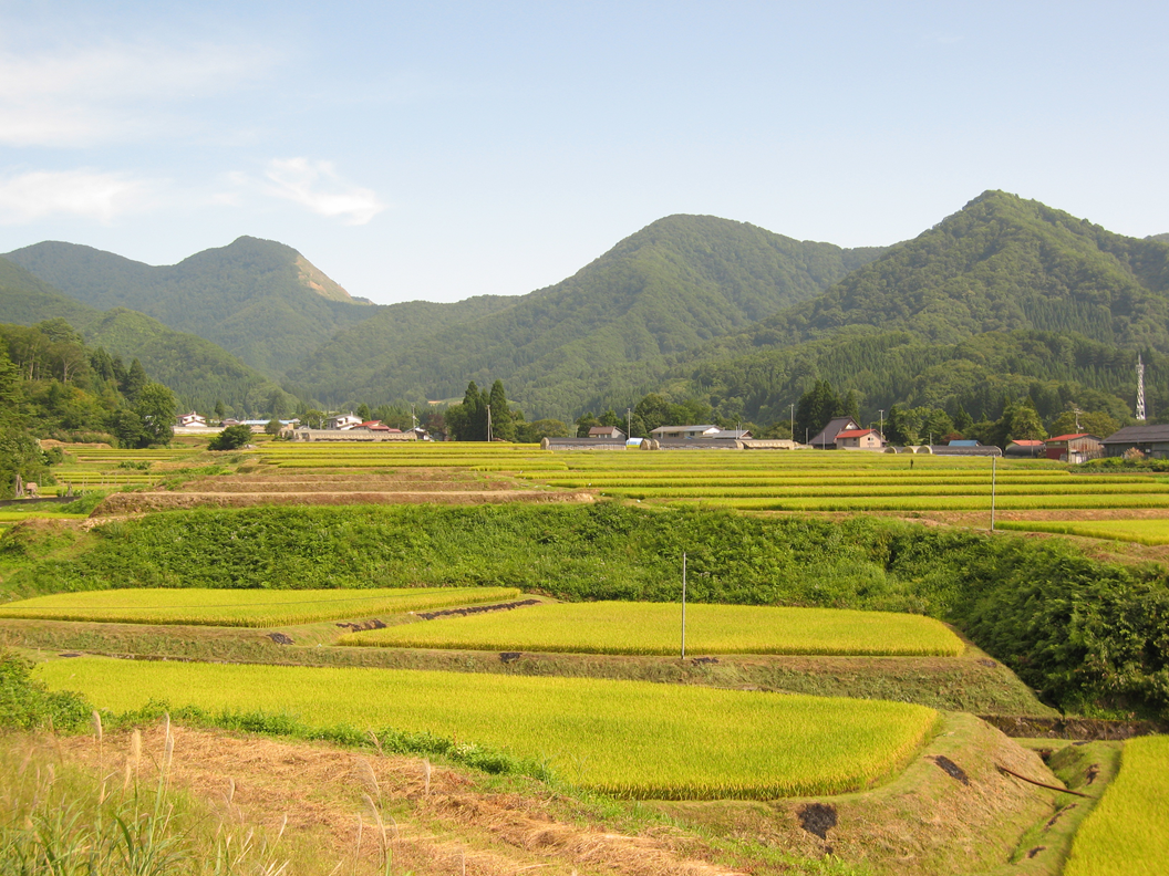 三又風景