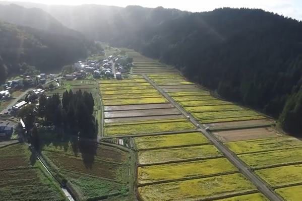 土沢地域　全景写真