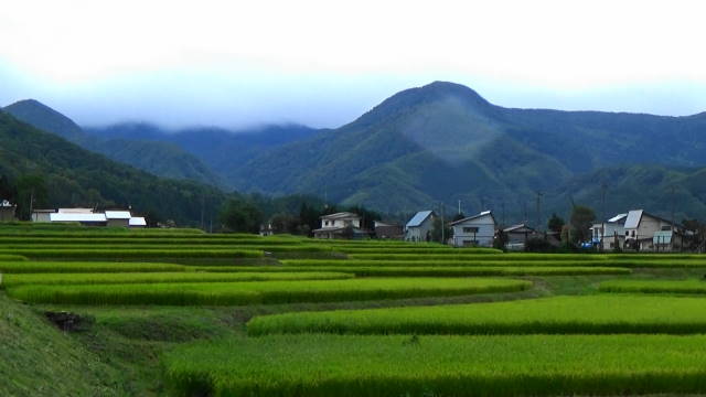 写真:岩井川の景色