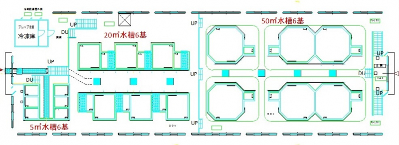 画像　水槽の配置図