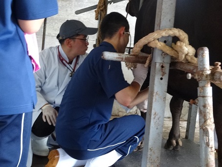 聴診器を使う高校生