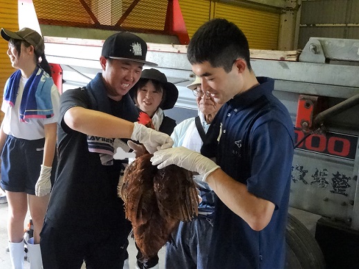鶏を持つ高校生