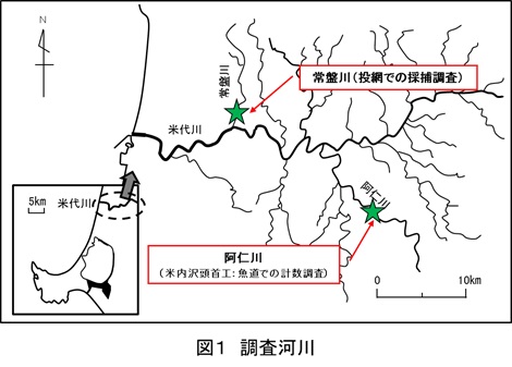 調査した河川