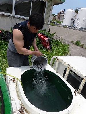 トラック水槽に積み込み