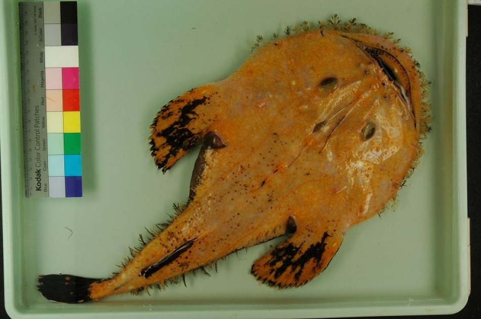 255aa8c2348747c30b11b3c153512f