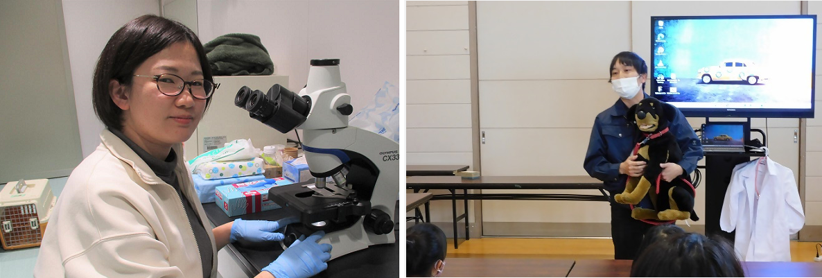 実務紹介・若手職員インタビュー