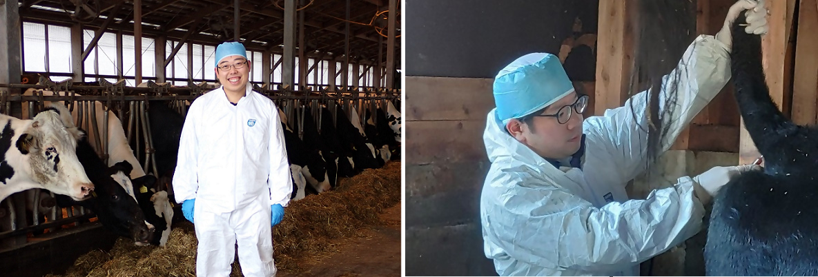 実務紹介・若手職員インタビュー