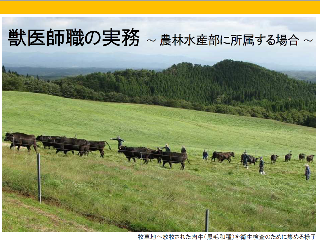 獣医師職の実務（農林水産部）