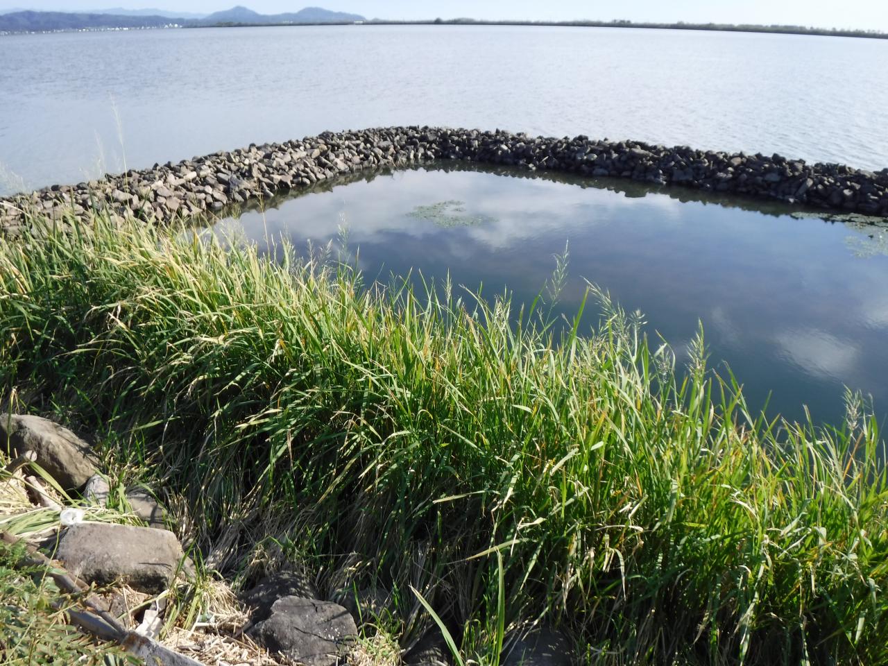 牡丹川消波工19