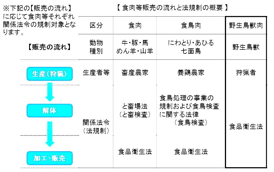 野生鳥獣肉の衛生管理に関する指針（ガイドライン）、別紙カラーアトラス