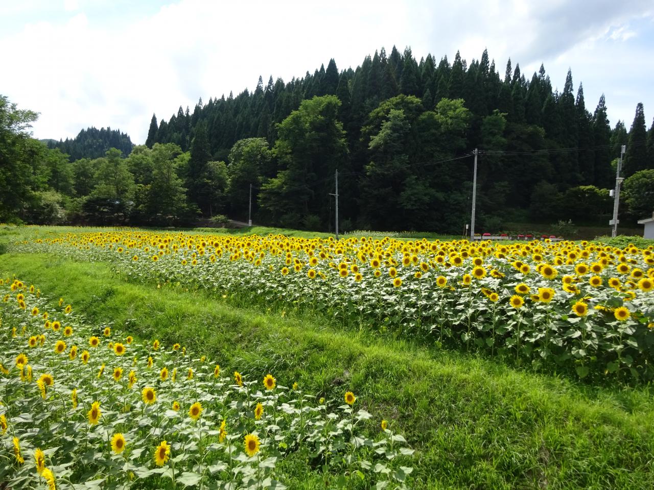 大地地域 鹿角郡小坂町 H29年度認定 美の国あきたネット