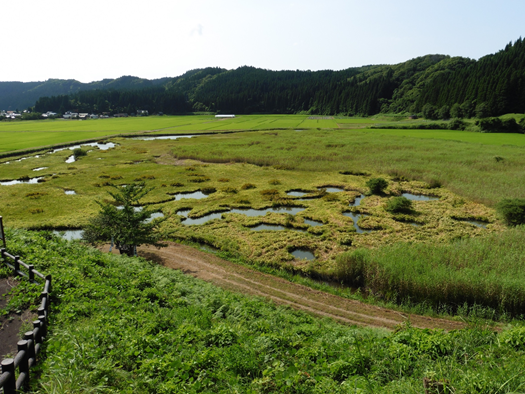 長坂　風景