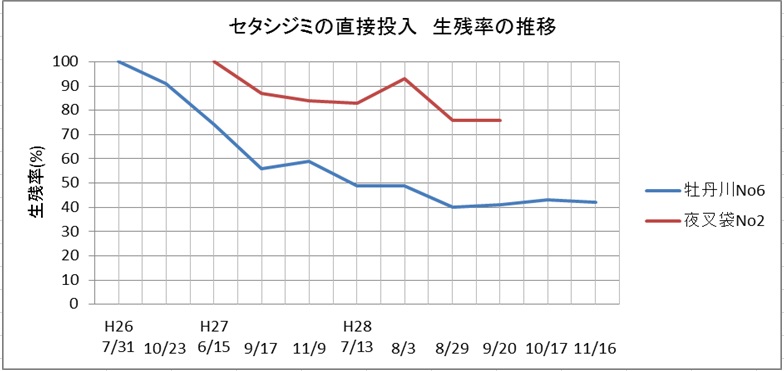 セタシジミ直接投入生存率　表