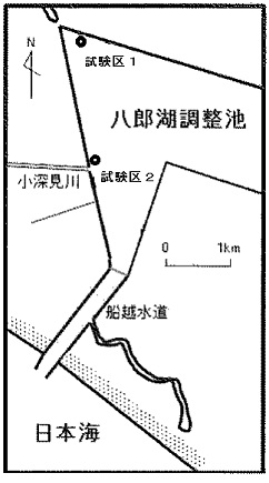 ホタテ籠調査位置　図