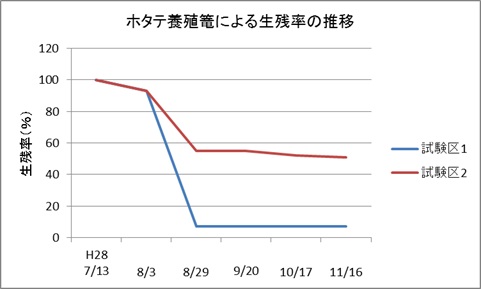 ホタテ籠生存率　表