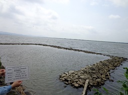牡丹川調査地点　写真