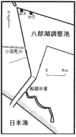 調整池内の南部排水機場一途　図面