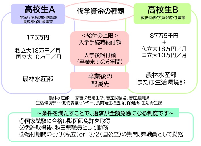 高校生ＡとＢの違い
