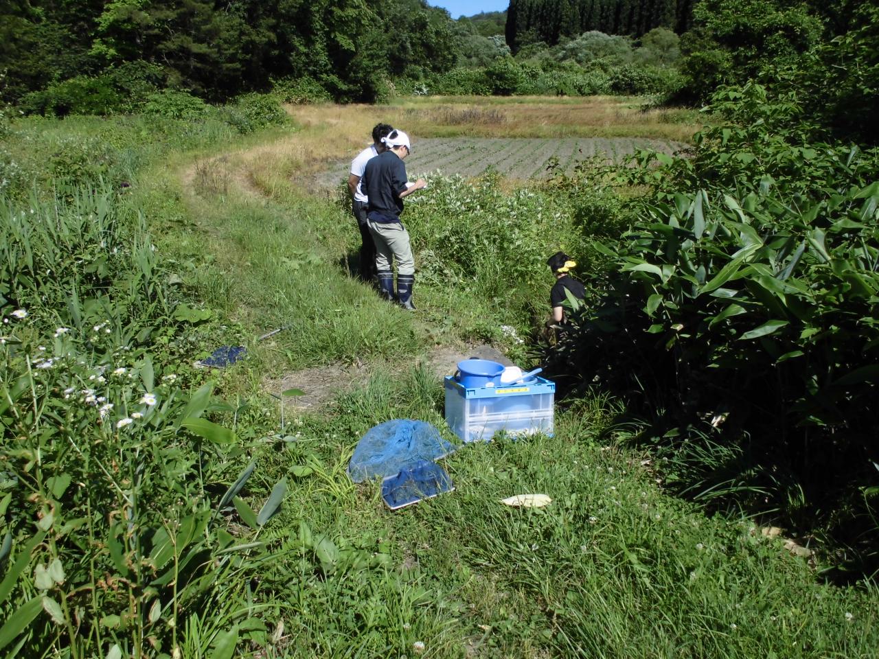 調査の様子の写真