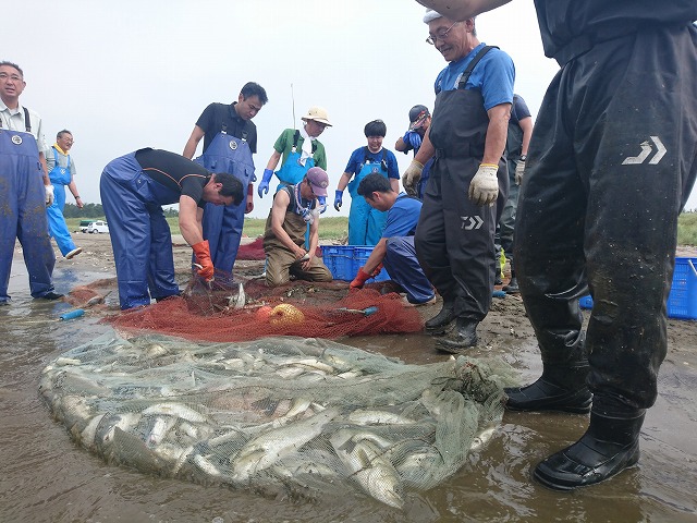 写真　かなりの量と魚が入りました