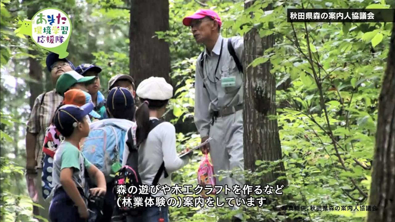 森の案内人協議会　画像