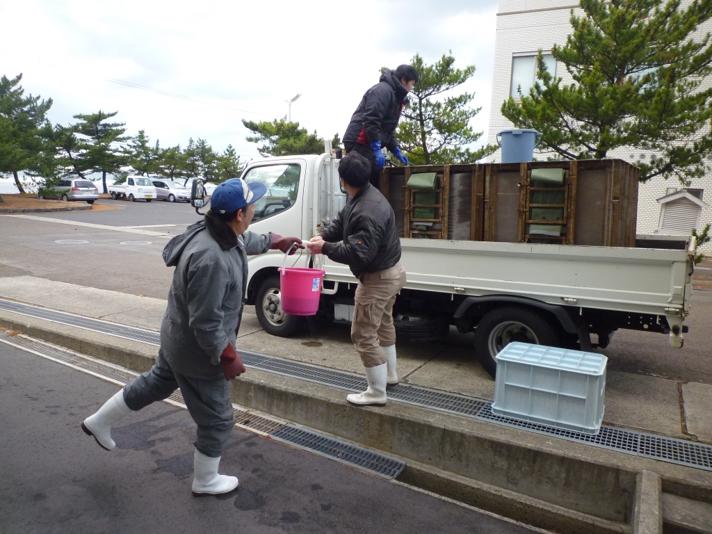 活魚水槽にはバケツリレーで運搬 [362KB]