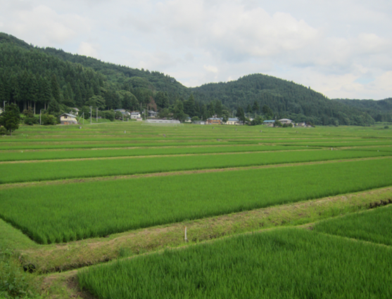 小沼　風景