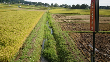 小沼　ほたる水路