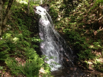 鳥越の滝