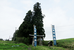 金峰神社