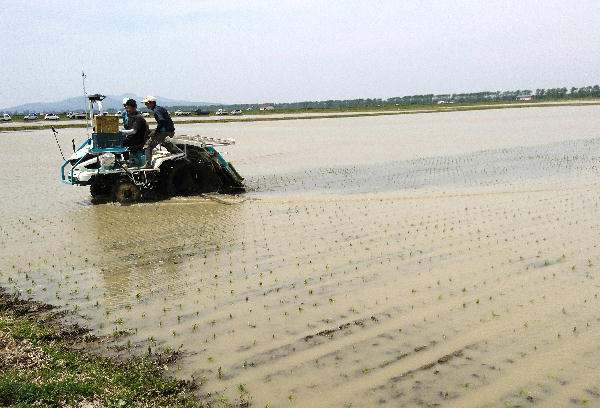  GNSS直進アシスト田植え機