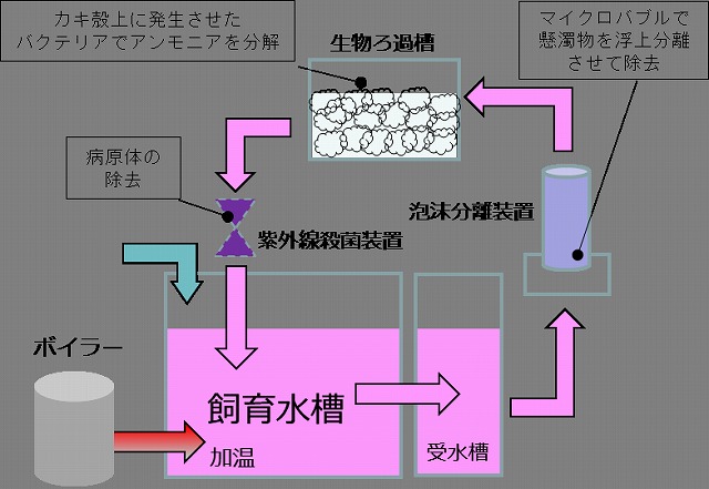 閉鎖循環システムの概要 [70KB]