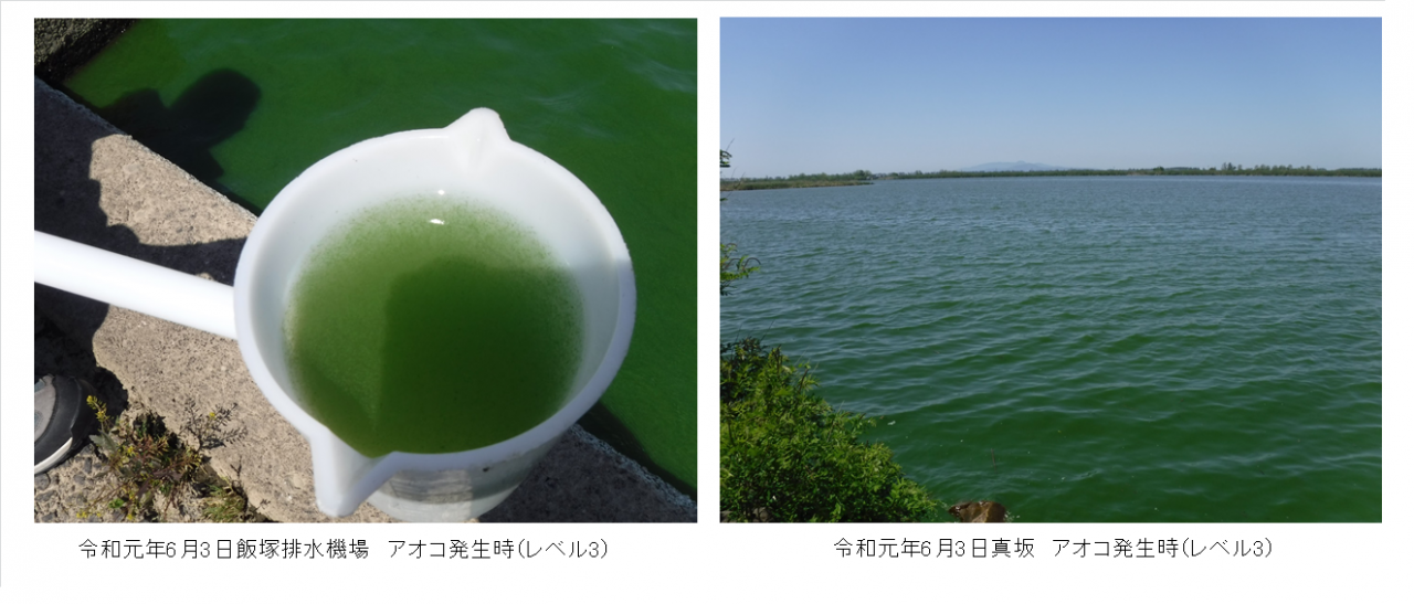 R1年度八郎湖におけるアオコ発生状況 | 美の国あきたネット