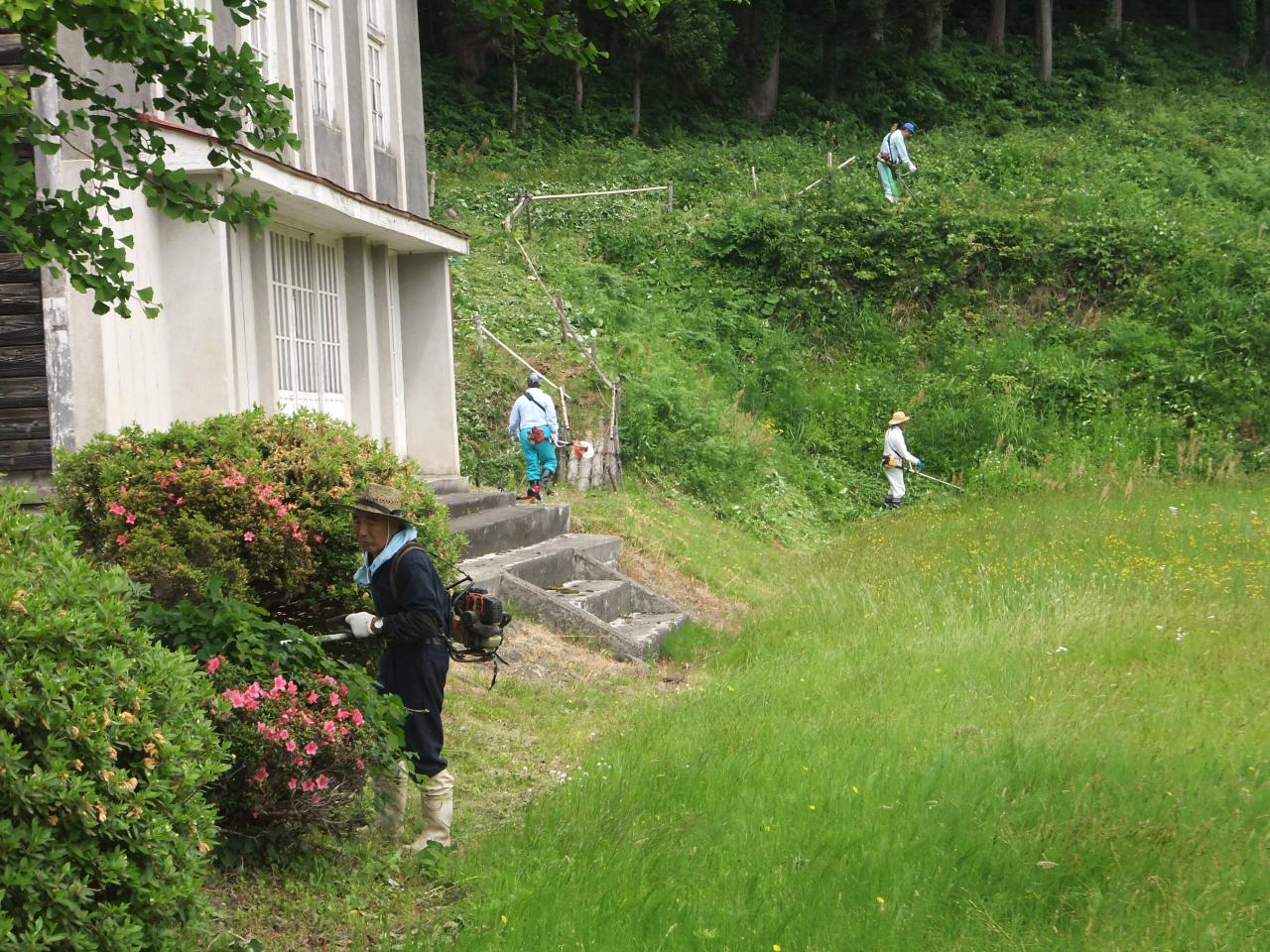 環境美化活動