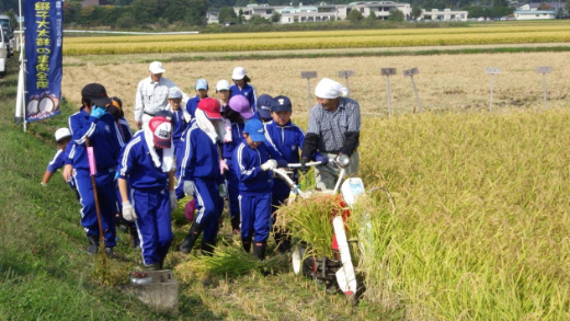 自動で刈り、束ねてくれます。