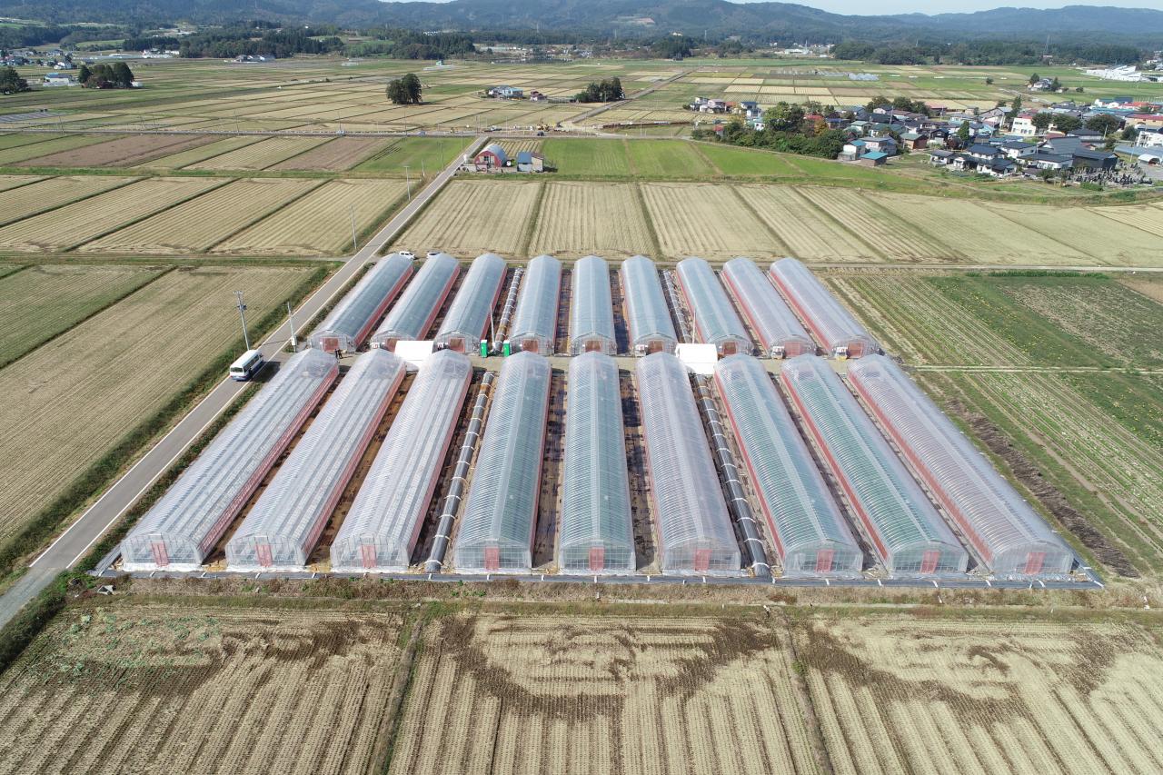第１５回食料 環境 ふるさとを考える女性の会が開催されました 美の国あきたネット