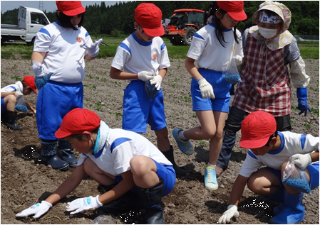 地元小学生との農業体験交流