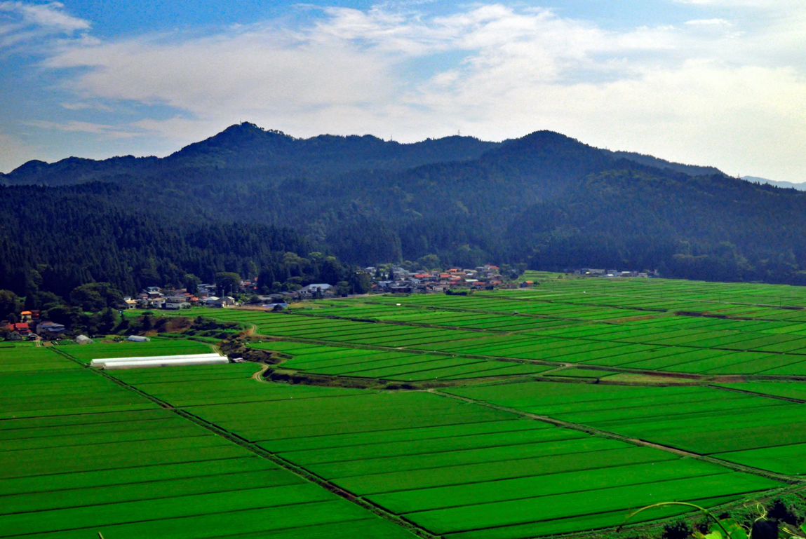 中村地域　全景写真