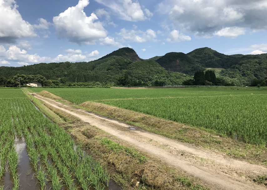 上羽立地域　前景写真