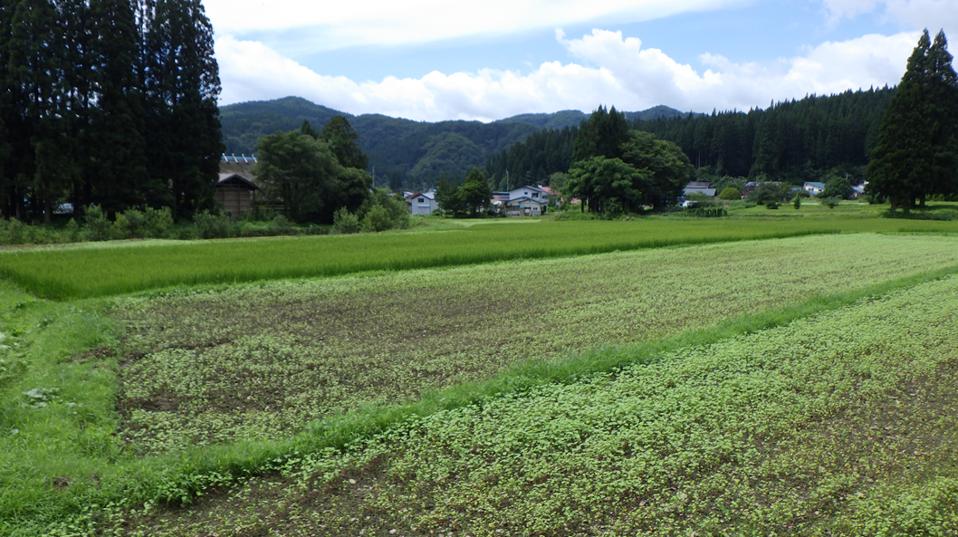 上田沢地域　前景写真