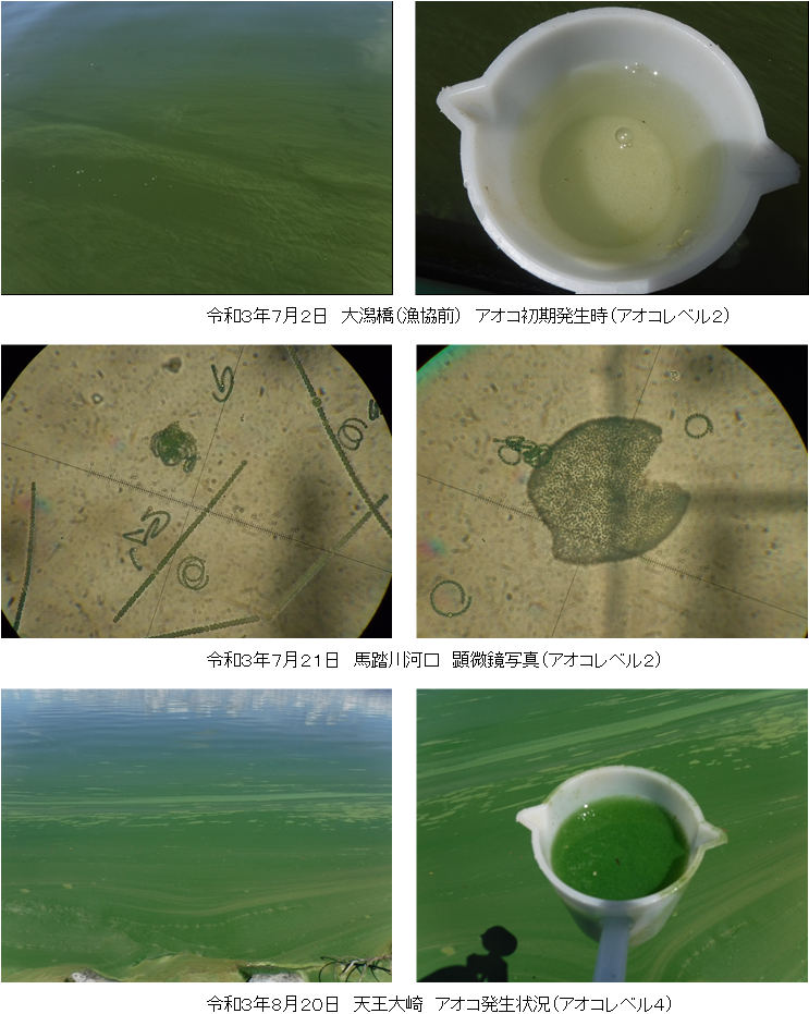 R3年度八郎湖におけるアオコ発生状況 | 美の国あきたネット