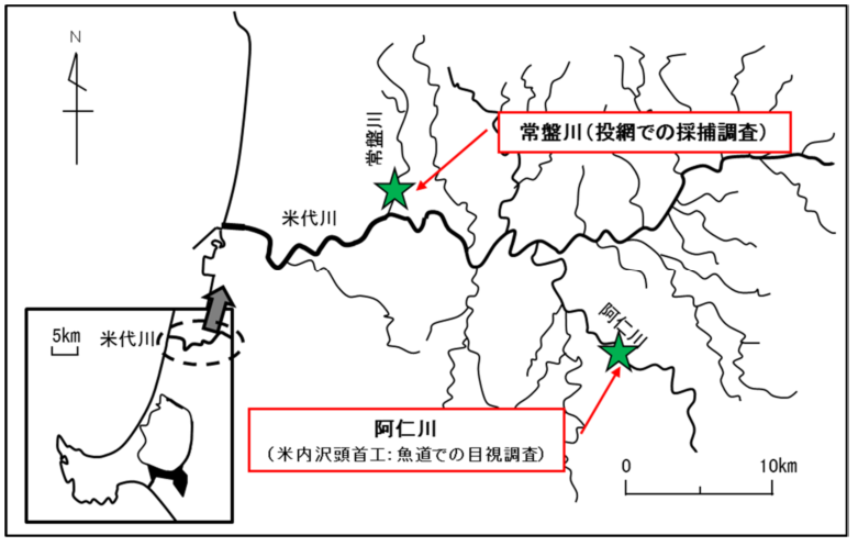 図１ 調査河川 