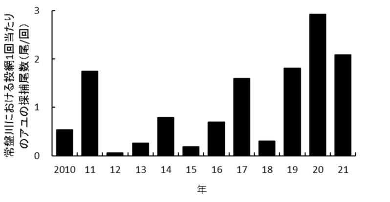図２ 常盤川におけるアユの採捕尾数