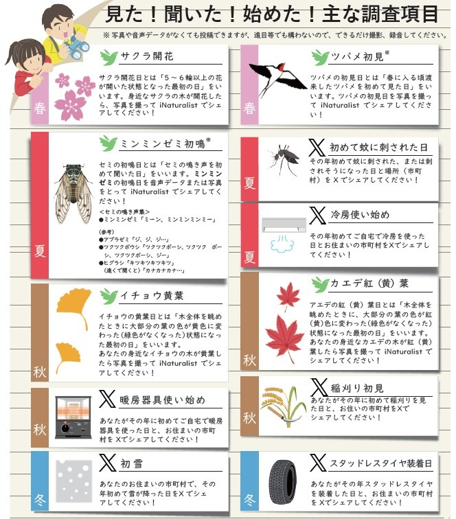 主な調査項目