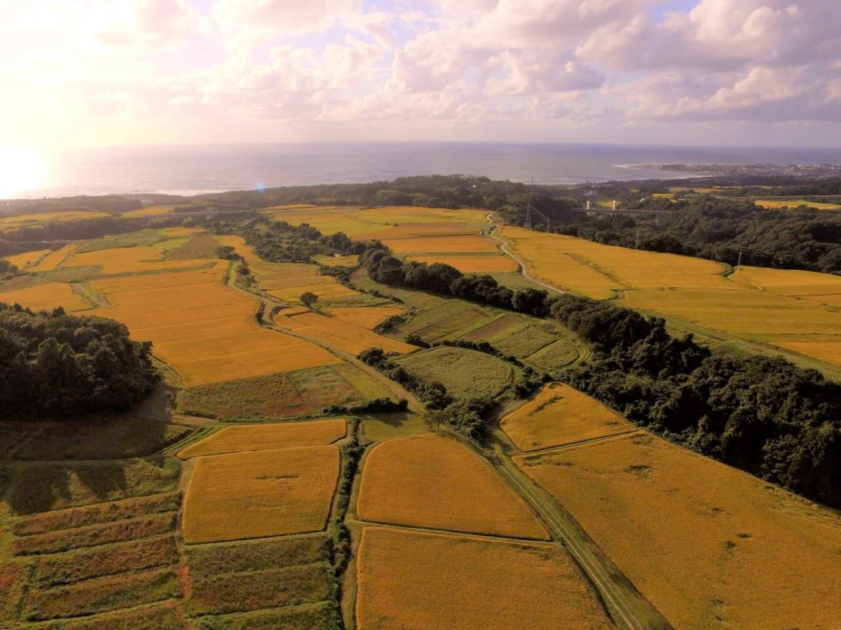 62a94e862b1852de572c51defd731b